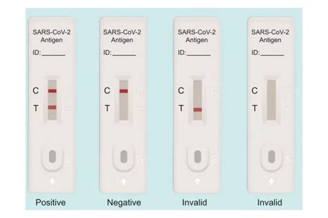 test seal labs covid test|Q&A on At.